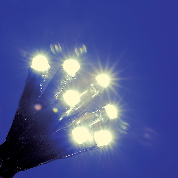 240 Warm White Led String Lights
