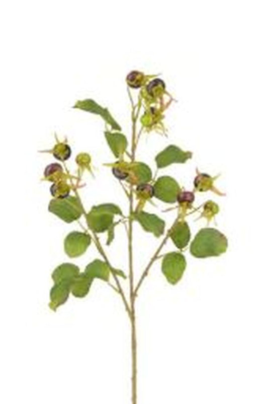 Rosehip Spray 85cm