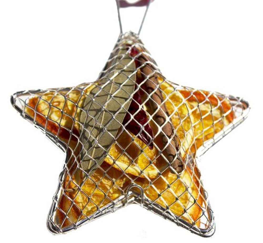 Fruit Silver Mesh Star 10cm